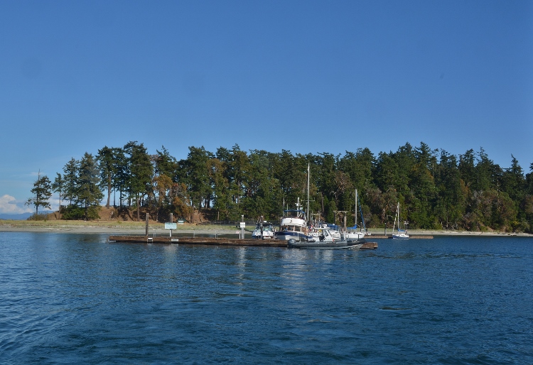 the dock and island